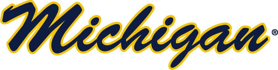 Michigan Wolverines 2016-Pres Wordmark Logo v2 iron on transfers for clothing